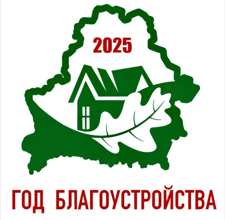 2025 Год благоустройства