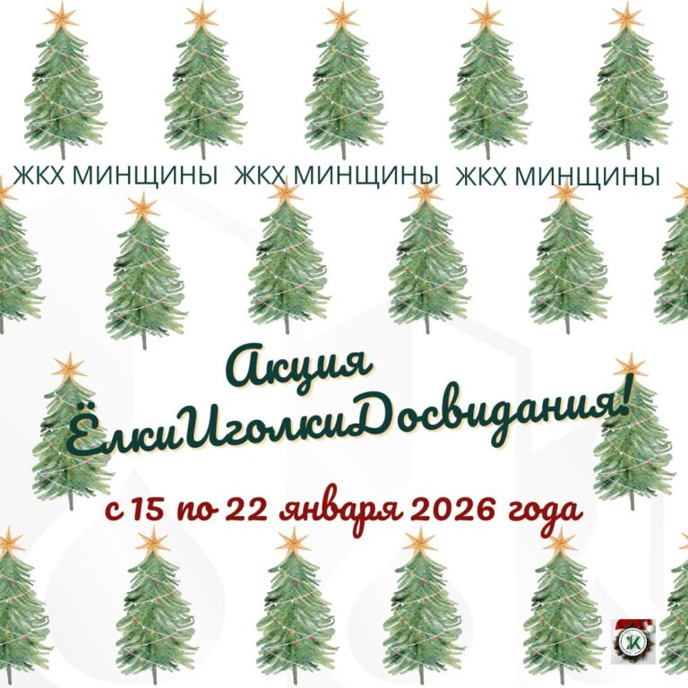 В Минской области стартует акция  «ЁлкиИголкиДосвидания»